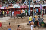 José Vicente Machancoses se proclama ganador del XXIII concurso de ganadería de 