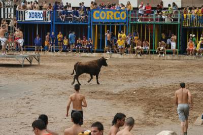 Fotografia /Gallery/8189_4538/4_M1.jpg