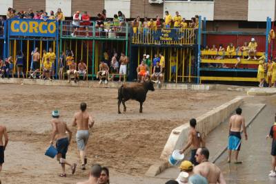 Fotografia /Gallery/8189_4538/5_M1.jpg