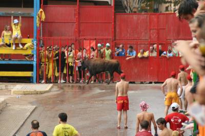 Fotografia /Gallery/8189_4538/6_M1.jpg