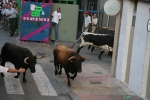 Un encierro de lo menos 'pamplonica'