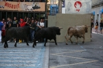 Un encierro de lo menos 'pamplonica'
