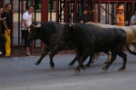 Un encierro de lo menos 'pamplonica'