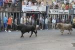 Un encierro de lo menos 'pamplonica'