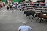 Un encierro rápido, sin incidentes y con mucho público