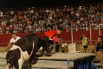 Ratón llenó la plaza portátil