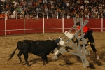 Ratón llenó la plaza portátil