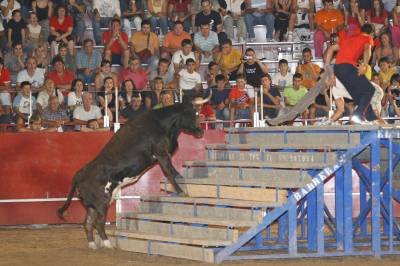 Fotografia /Gallery/8928_4935/2_M1.jpg