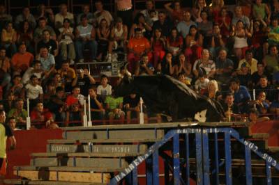 Fotografia /Gallery/8928_4935/3_M1.jpg