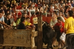 Ratón llenó la plaza portátil