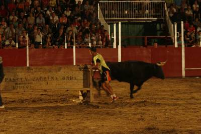 Fotografia /Gallery/8928_4935/5_M1.jpg