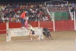 Ratón llenó la plaza portátil