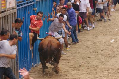 ?Mosquero? y ?Bellito? los primeros toros de las fiestas.