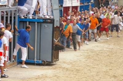 Fotografia /Gallery/8937_4951/2_M1.jpg