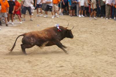 Fotografia /Gallery/8937_4951/3_M1.jpg