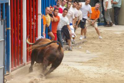 Fotografia /Gallery/8937_4951/4_M1.jpg