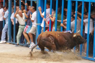 Fotografia /Gallery/8937_4951/5_M1.jpg