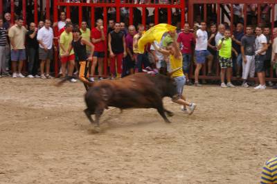 Fotografia /Gallery/8937_4951/6_M1.jpg