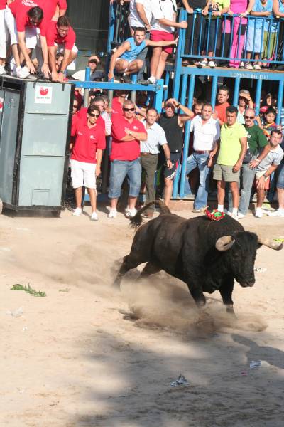 Fotografia /Gallery/8964_4964/4_M1.jpg