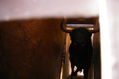 Fotografia /Gallery/8965_4967/3_M1.jpg