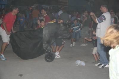 Fotografia /Gallery/8991_4978/4_M1.jpg