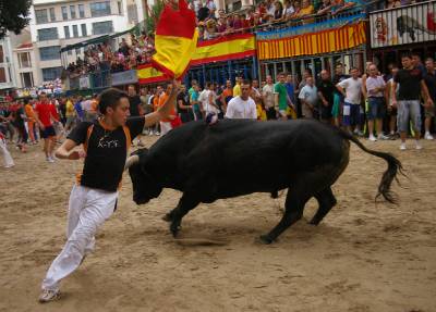 Fotografia /Gallery/9021_4991/2_M1.jpg