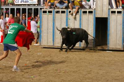 Fotografia /Gallery/9021_4991/3_M1.jpg