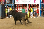 El Cerril y Jovens del Bou protagonistas de las tarde taurina.