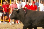 El Cerril y Jovens del Bou protagonistas de las tarde taurina.