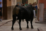 El Cerril y Jovens del Bou protagonistas de las tarde taurina.