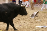 El Cerril y Jovens del Bou protagonistas de las tarde taurina.
