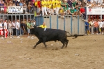 El Cerril y Jovens del Bou protagonistas de las tarde taurina.