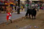 El Cerril y Jovens del Bou protagonistas de las tarde taurina.