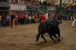 El Cerril y Jovens del Bou protagonistas de las tarde taurina.