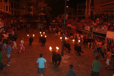 Fotografia /Gallery/9023_4993/2_M1.jpg