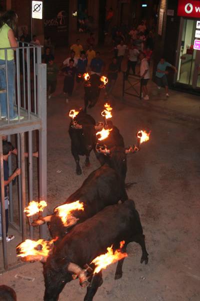 Fotografia /Gallery/9023_4993/3_M1.jpg