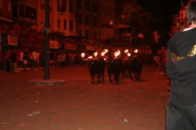 Fotografia /Gallery/9023_4993/4_M1.jpg