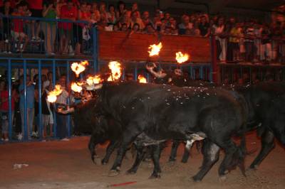 Fotografia /Gallery/9023_4993/5_M1.jpg