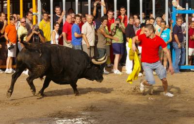 Fotografia /Gallery/9042_5005/2_M1.jpg