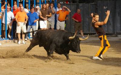 Fotografia /Gallery/9042_5005/3_M1.jpg