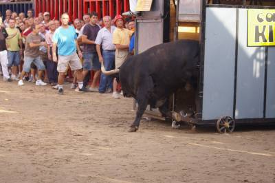 Fotografia /Gallery/9042_5005/4_M1.jpg