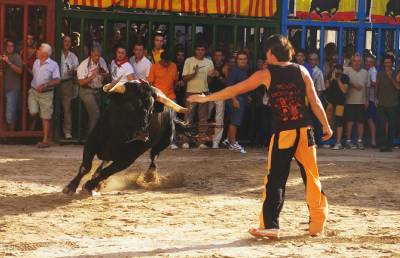 Fotografia /Gallery/9080_5017/2_M1.jpg