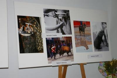 Fotografia /Gallery/9088_5028/3_M1.jpg