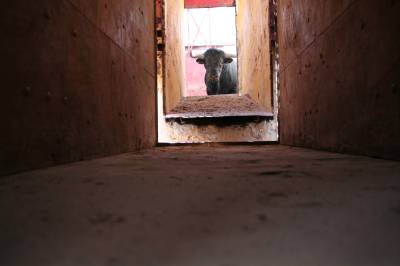 Fotografia /Gallery/9101_5036/2_M1.jpg