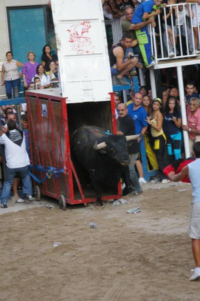 Fotografia /Gallery/9101_5036/3_M1.jpg