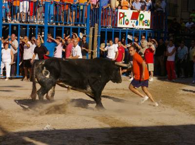 Fotografia /Gallery/9102_5037/2_M1.jpg