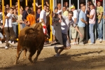?ltimos toros de las fiestas 