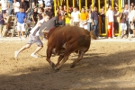 ?ltimos toros de las fiestas 