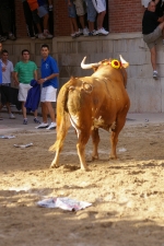 ?ltimos toros de las fiestas 