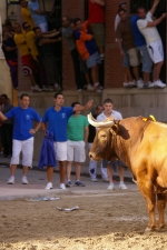 ?ltimos toros de las fiestas 